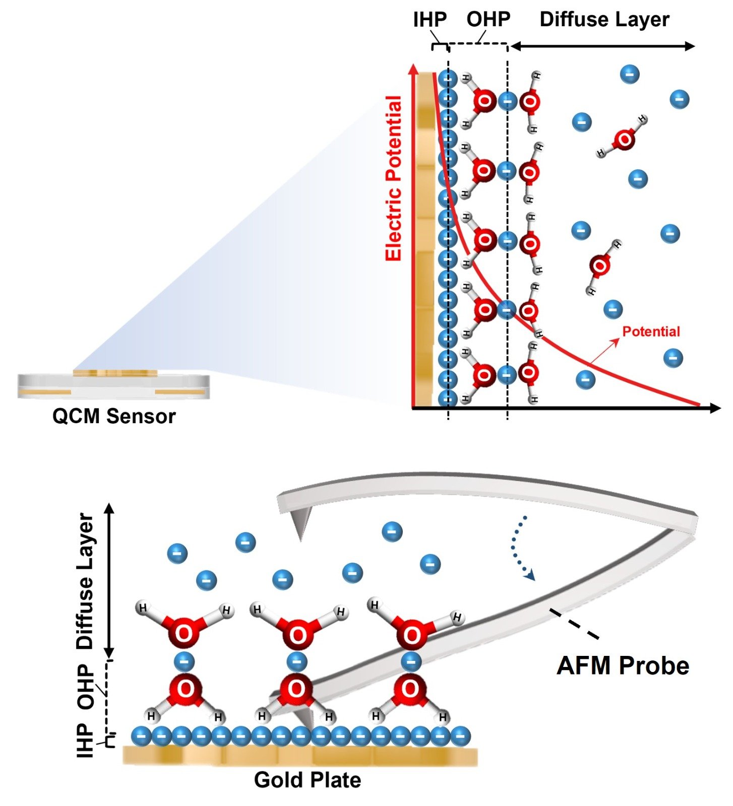 Resolving nanoslip, solvation inertia and charge dynamics at vibrating solid-liquid interface